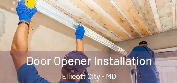 Door Opener Installation Ellicott City - MD
