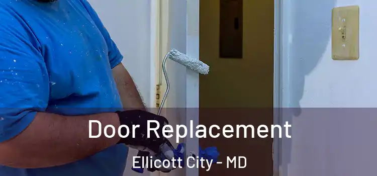 Door Replacement Ellicott City - MD