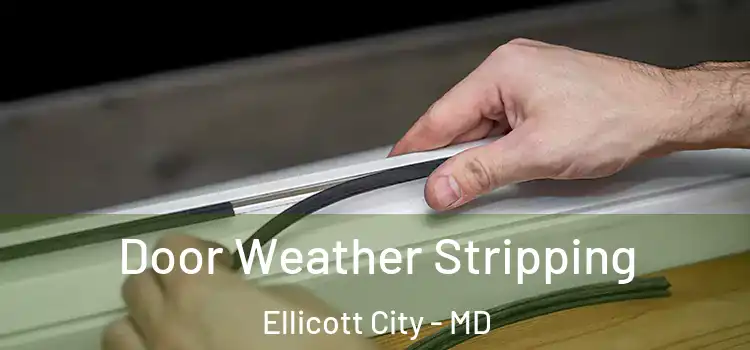 Door Weather Stripping Ellicott City - MD
