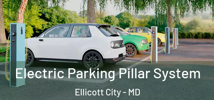 Electric Parking Pillar System Ellicott City - MD