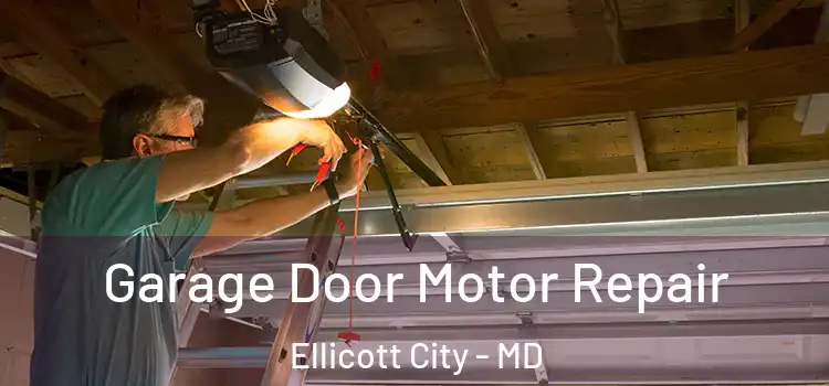  Garage Door Motor Repair Ellicott City - MD