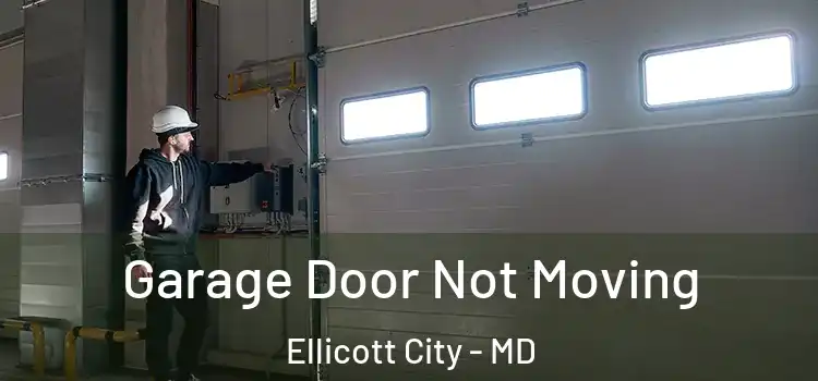  Garage Door Not Moving Ellicott City - MD