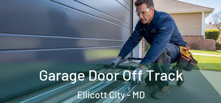  Garage Door Off Track Ellicott City - MD