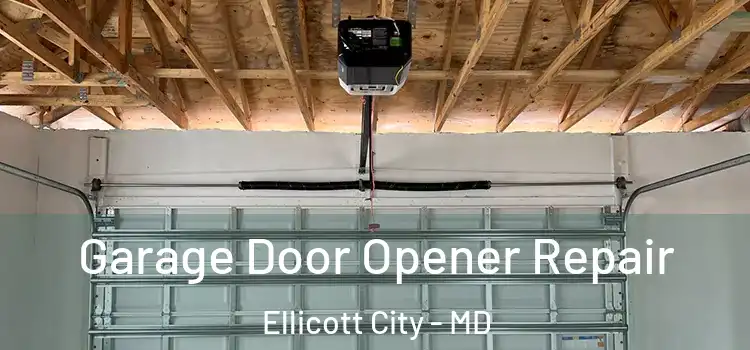  Garage Door Opener Repair Ellicott City - MD