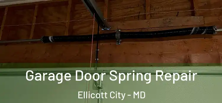  Garage Door Spring Repair Ellicott City - MD