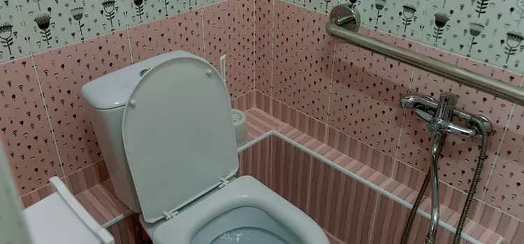 Meeting Diverse Needs With Accessible Restroom Solutions in Ellicott City, MD