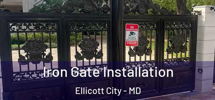 Iron Gate Installation Ellicott City - MD