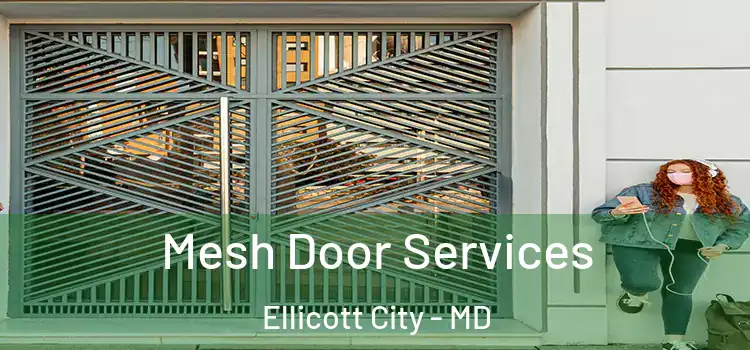 Mesh Door Services Ellicott City - MD
