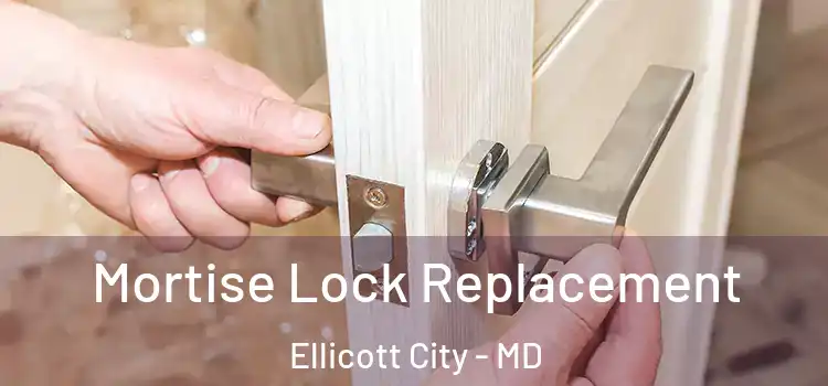 Mortise Lock Replacement Ellicott City - MD